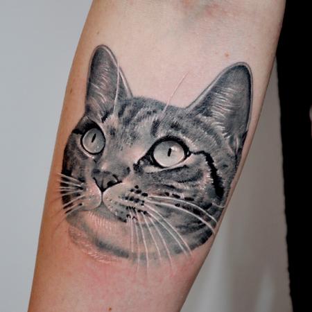Nate Beavers - Black and Gray Cat Portrait Tattoo